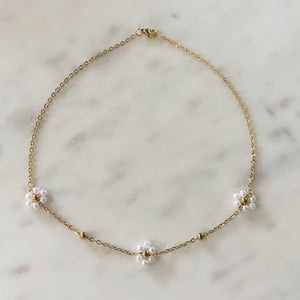 COLLIERS DANAI COLLIERS DANAI